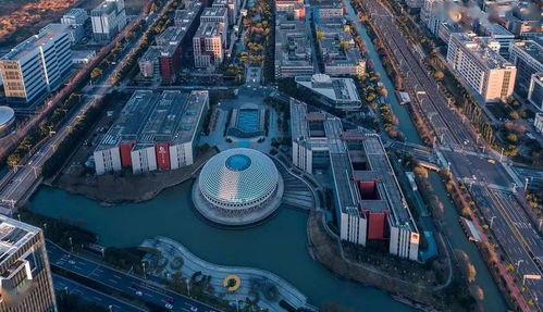 第一区国产,第一区国产生态发展概览