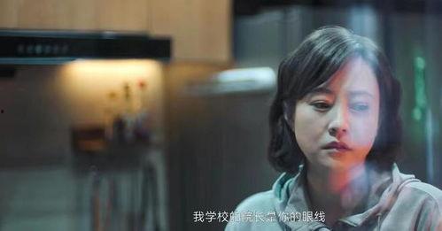 国产老熟在线播放,重温经典，在线重温岁月情怀