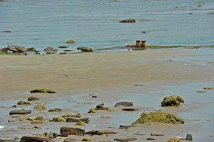 爱情岛国产,探寻异域风情的爱情秘境